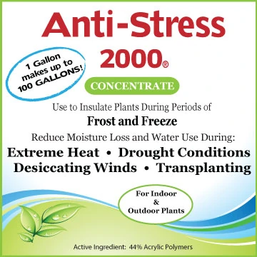 Anti-Stress 2000